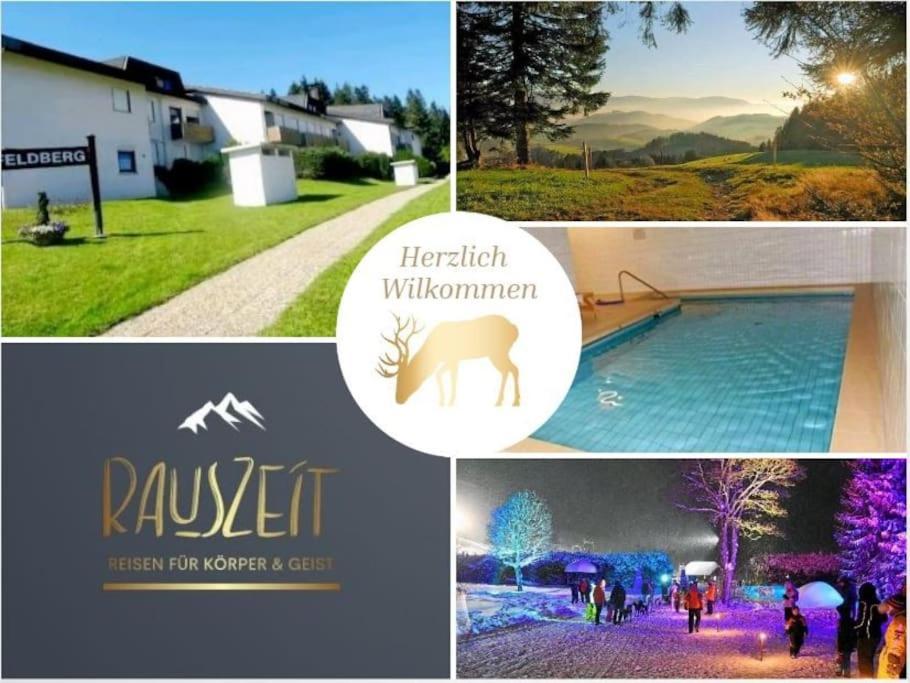 Urlaub Auf 1.000 Meter Hoehe Mit Pool Und Sauna Schönwalde Buitenkant foto