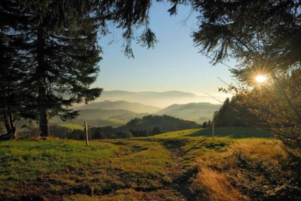 Urlaub Auf 1.000 Meter Hoehe Mit Pool Und Sauna Schönwalde Buitenkant foto