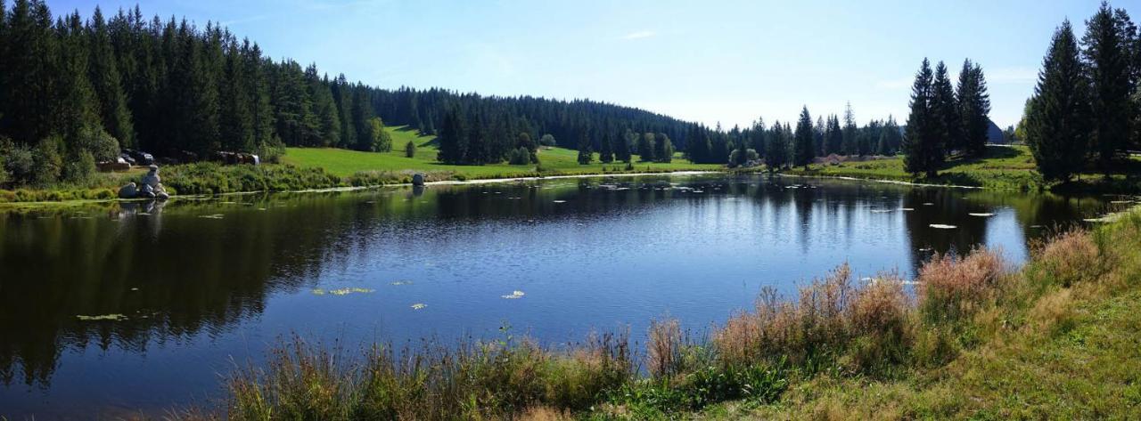 Urlaub Auf 1.000 Meter Hoehe Mit Pool Und Sauna Schönwalde Buitenkant foto