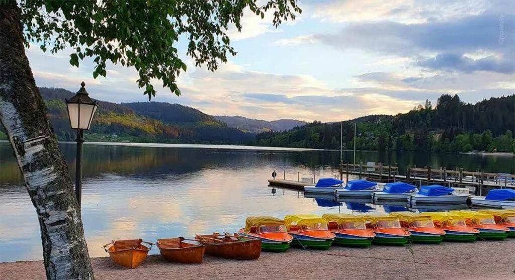 Urlaub Auf 1.000 Meter Hoehe Mit Pool Und Sauna Schönwalde Buitenkant foto