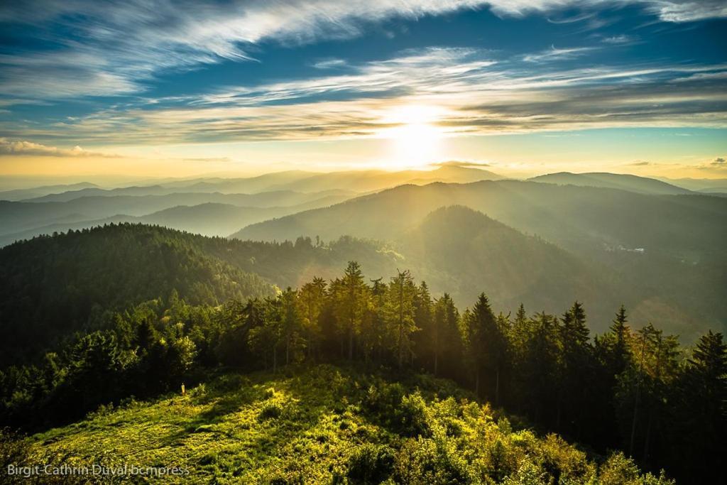 Urlaub Auf 1.000 Meter Hoehe Mit Pool Und Sauna Schönwalde Buitenkant foto