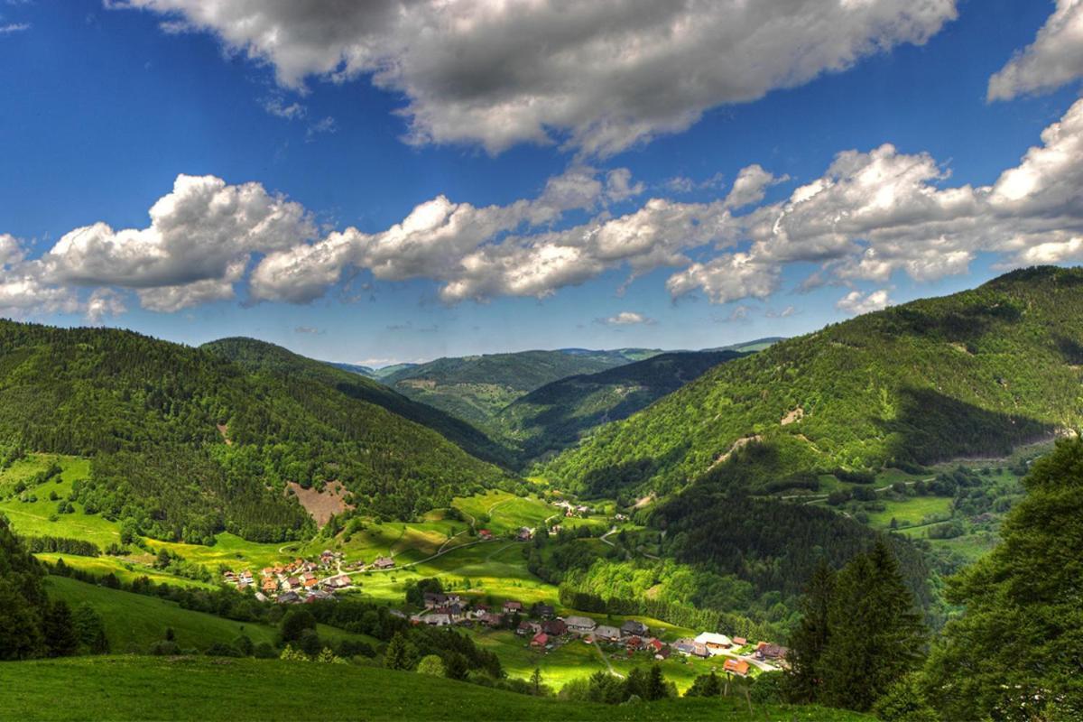 Urlaub Auf 1.000 Meter Hoehe Mit Pool Und Sauna Schönwalde Buitenkant foto